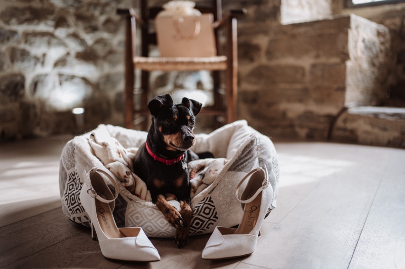 Intimate-Wedding-Perugia-Castello-Rosciano-Barbara-Fabio-022