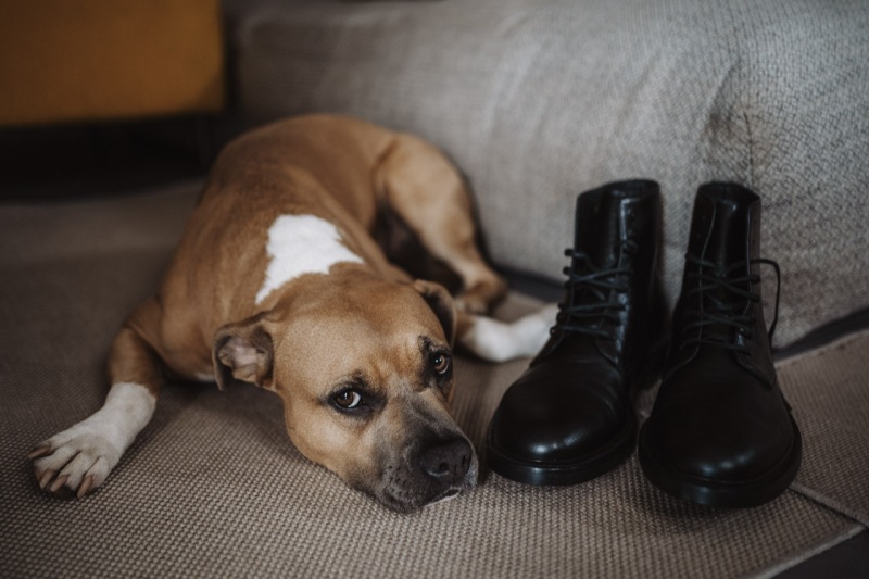 Rock-Dark-Alternative-Wedding-Milano-Groppello-dAdda-Eleonora-Andrea-006