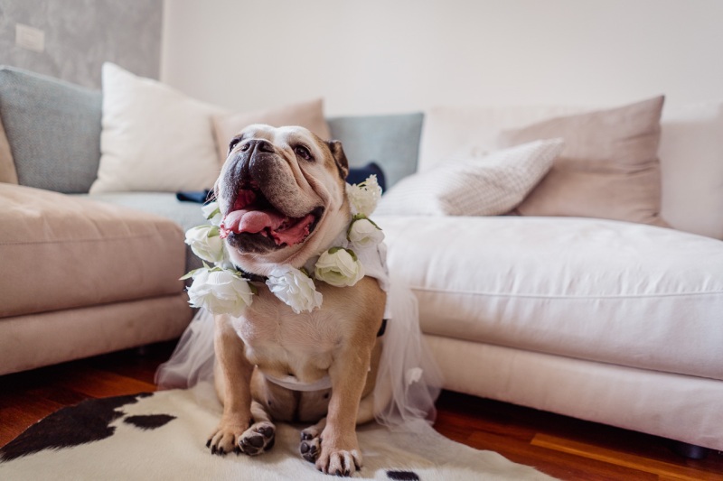 Eclectic-Wedding-Varese-Tenuta-la-Passera-Giada-Fabio-018