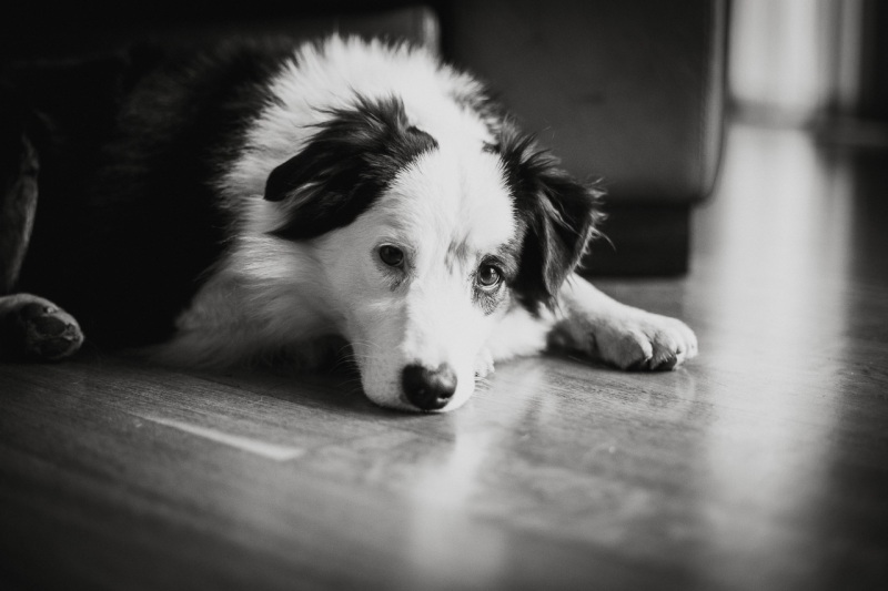 Romantic-Wedding-Bergamo-Cascina-Fiorita-Giulia-Alberto-006