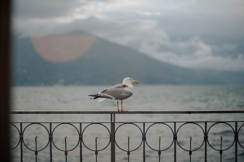 Intimate-Wedding-Palazzo-Verbania-Luino-Giulia-Federico-056