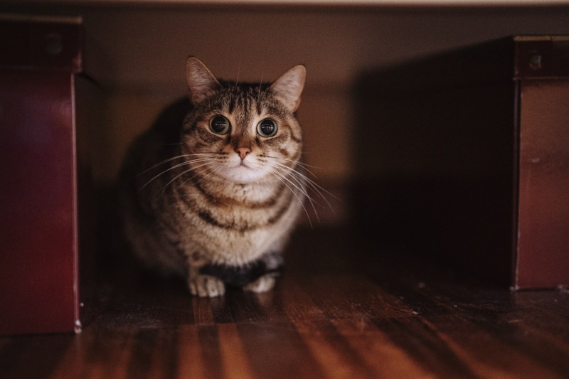 Shabby-Chic-Wedding-Bergamo-Cascina-Fiorita-Mariachiara-Daniele-014