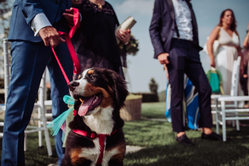 Country-Wedding-Como-Agriturismo-Agrifoglio-Miriam-Gianluca-023