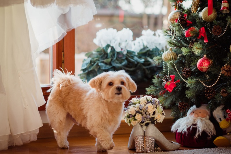Christmas-Wedding-Bergamo-Cascina-Fiorita-Nicole-Jacopo-006