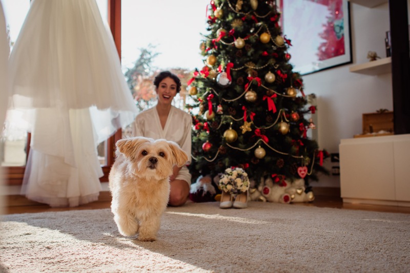 Christmas-Wedding-Bergamo-Cascina-Fiorita-Nicole-Jacopo-008