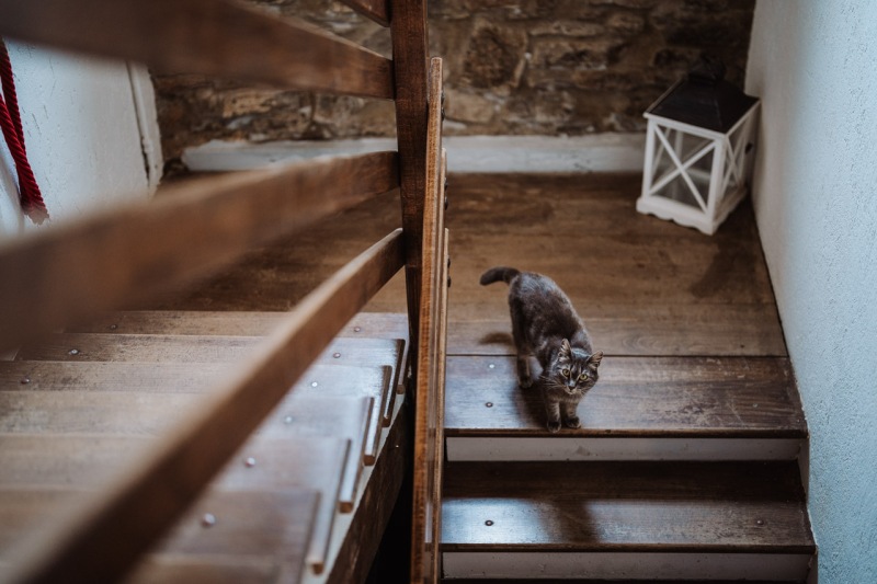Country-Intimate-Wedding-Caprino-Bergamasco-Bergamo-Cascina-Ombria-Samanta-Alberto-045
