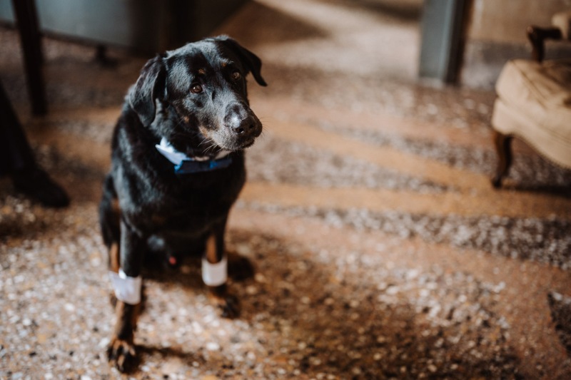 Romantic-Chic-Wedding-Rovato-Brescia-Castello-Quistini-Veronica-Stefano-011