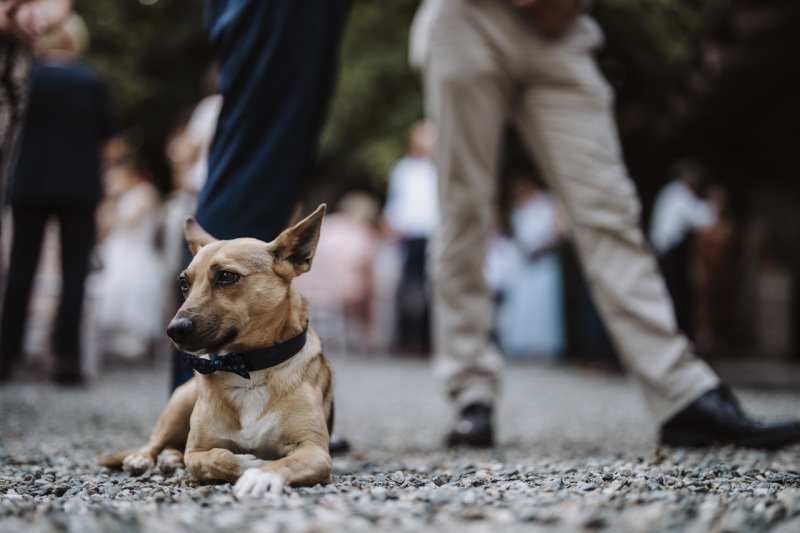 Country-Wedding-Alessandria-Cascina-Montena-Julie-Valerio-106