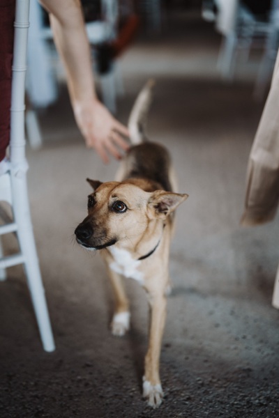 Country-Wedding-Alessandria-Cascina-Montena-Julie-Valerio-121