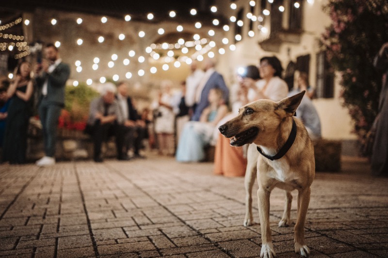Country-Wedding-Alessandria-Cascina-Montena-Julie-Valerio-124